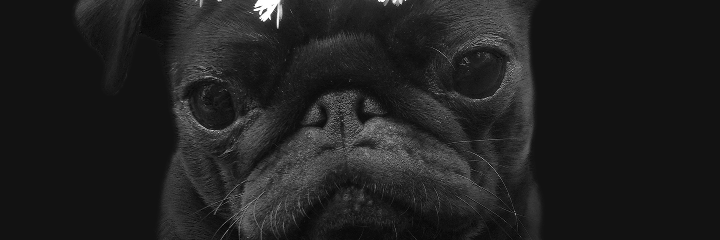 FathomUX's profile banner image