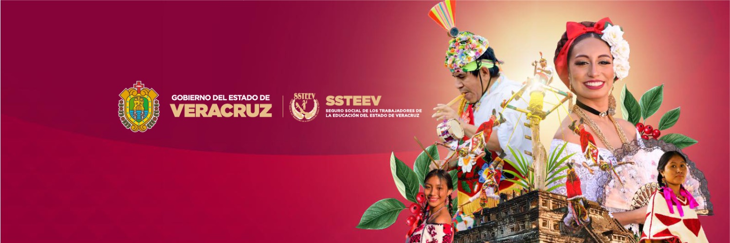 SSTEEV1's profile banner image