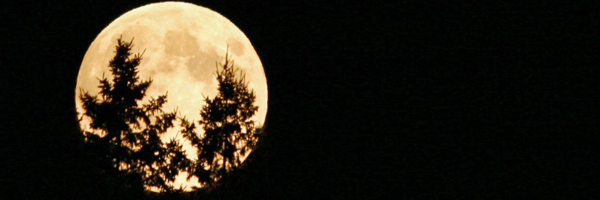 Lisanshodiki50's profile banner image