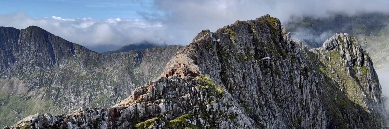 Stacey MacNaught banner