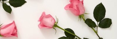 AmandaFlick_'s profile banner image