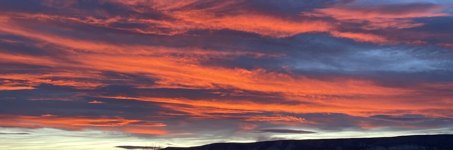 leslieann66's profile banner image