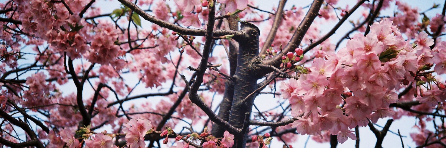 leeshushien's profile banner image