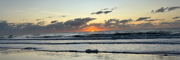 AmandaCBruin Profile Banner