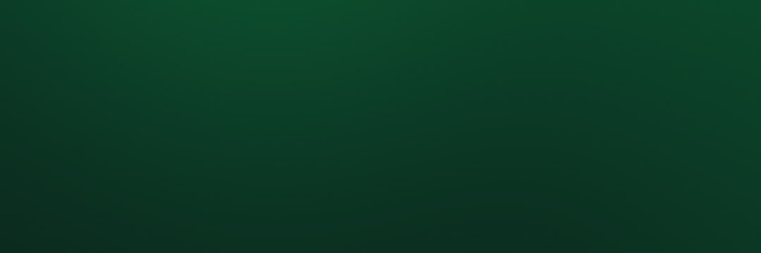 Sandra Lia Gengo🇧🇷🌻 banner