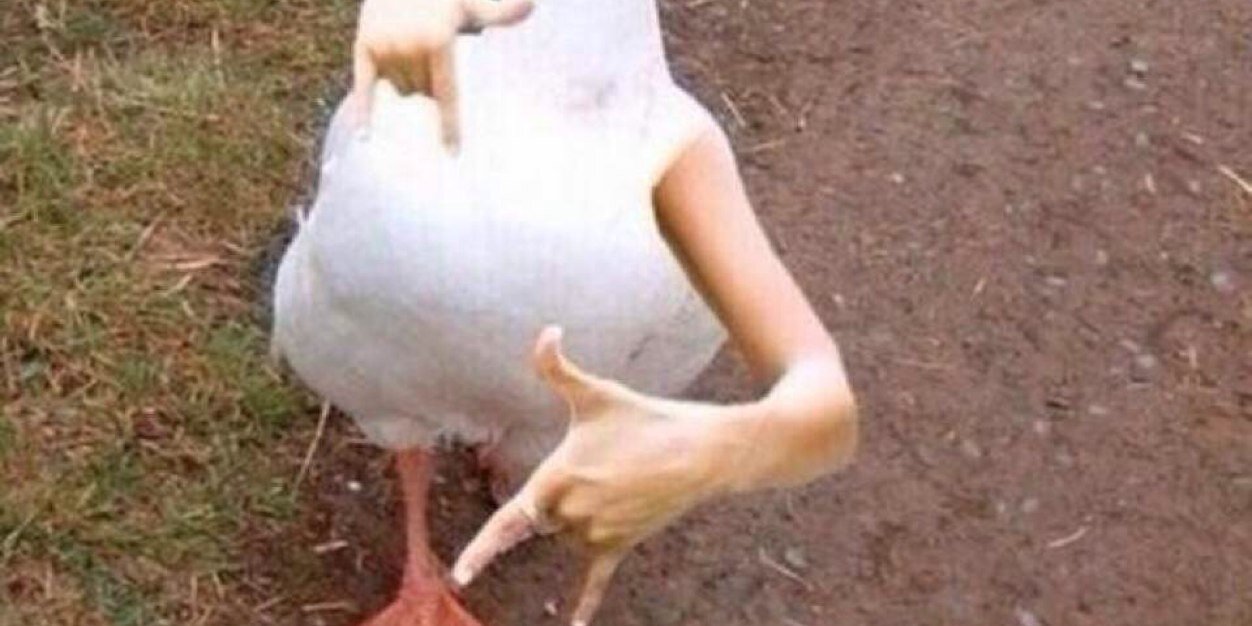 lukeysmut's profile banner image