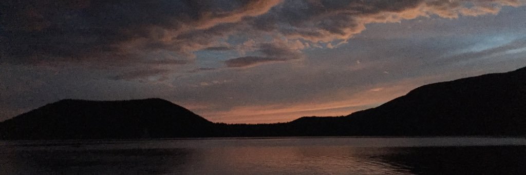 Julia McCutcheon banner