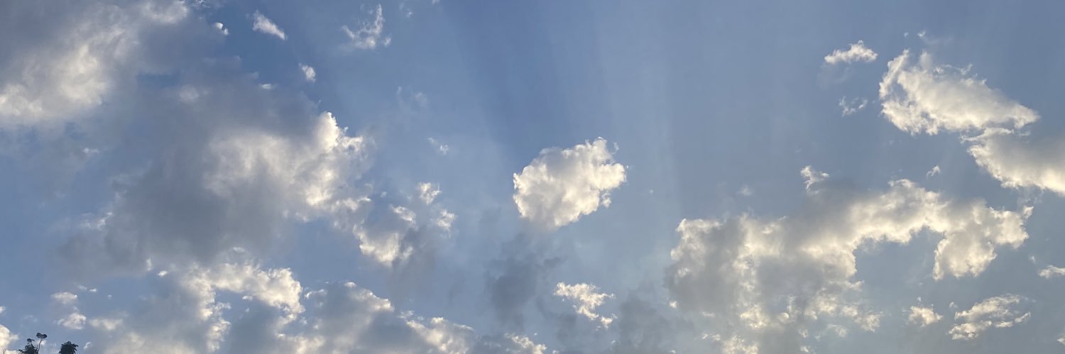 srtmarqs's profile banner image