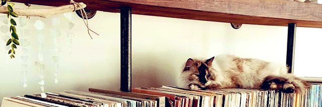 andreinadeleo's profile banner image