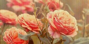 malrang_malrang's profile banner image