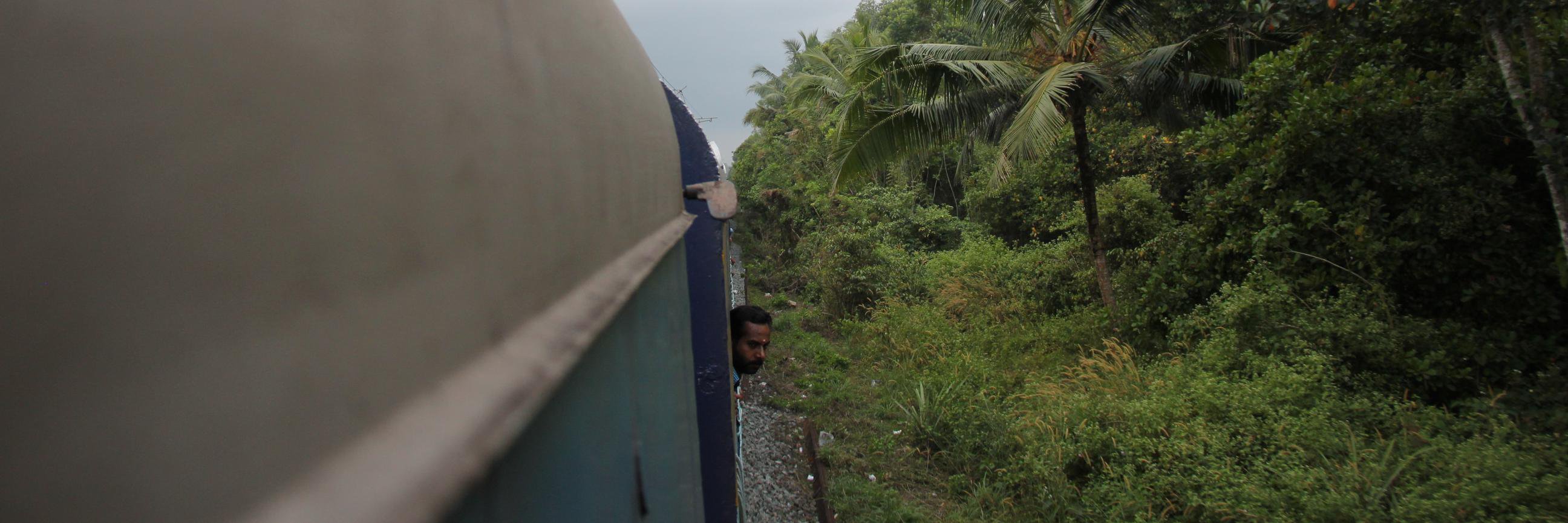 David Schenck banner