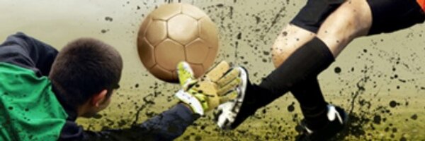 WealdWolves Profile Banner