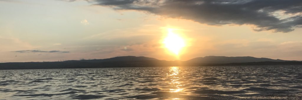 Candelon Julien - OLY banner