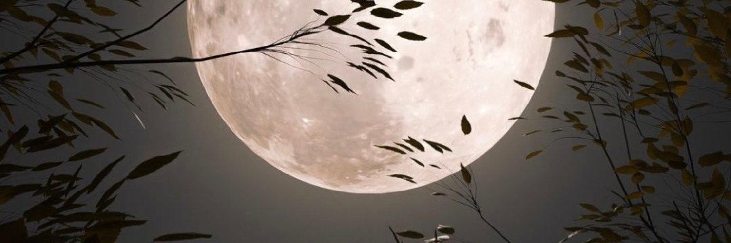 aedfnes1's profile banner image
