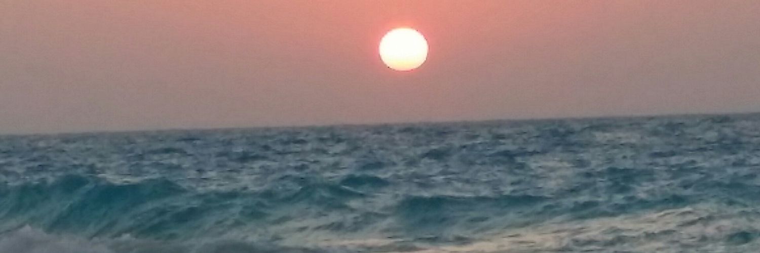 shaimaa812's profile banner image