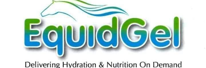 Equidgel's profile banner image