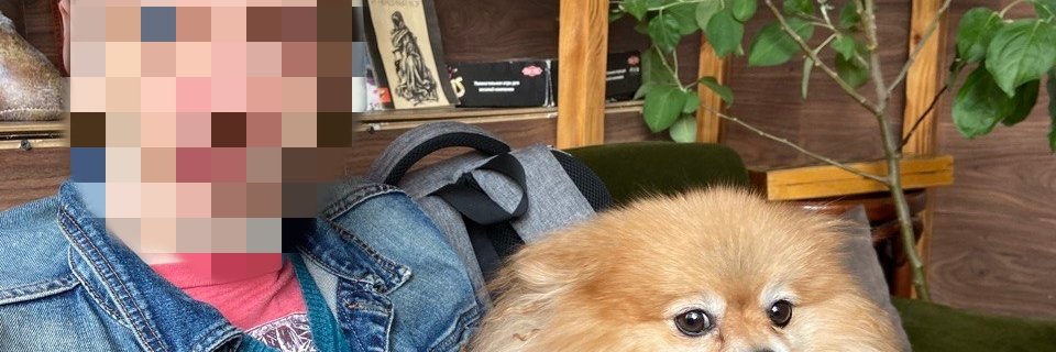 akomandiroff's profile banner image