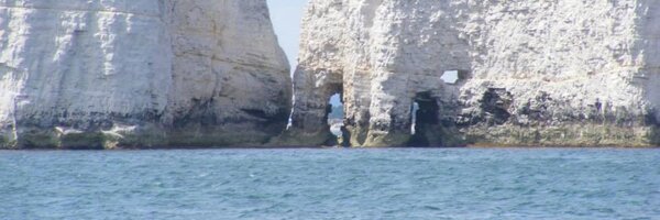 FillyGumbo1 Profile Banner