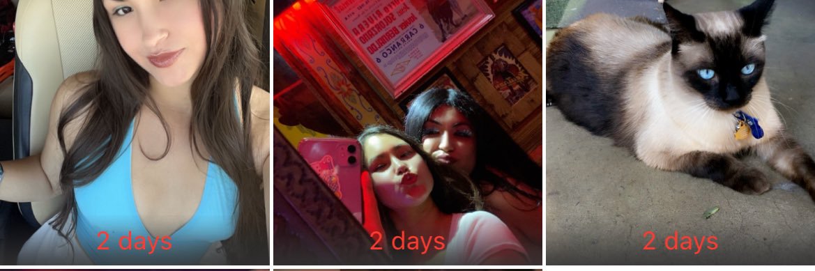 lioness♌️ banner