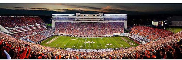 Anne Bryan banner
