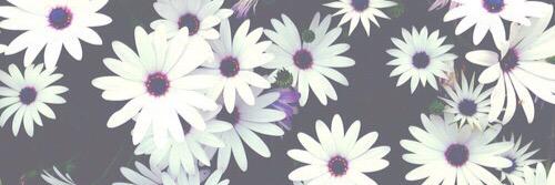 Chulavanra's profile banner image