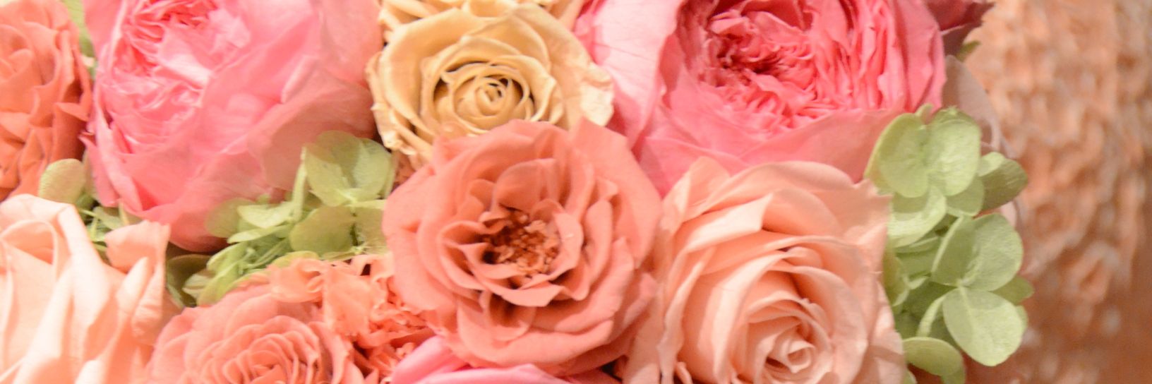 kaocof's profile banner image