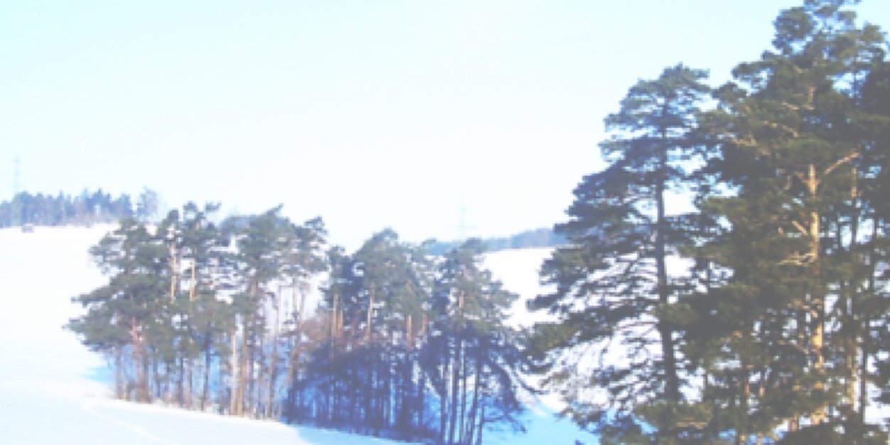 vanessagdrs2's profile banner image