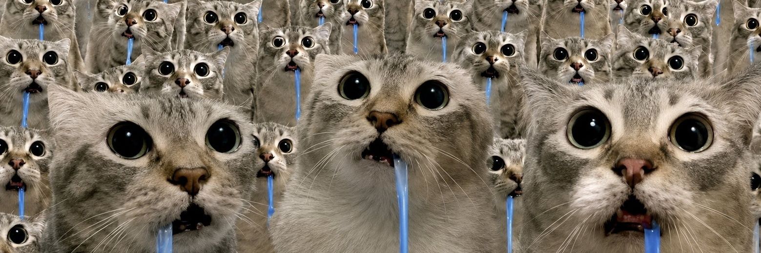 Gretuim's profile banner image