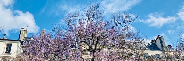 eksymons Profile Banner