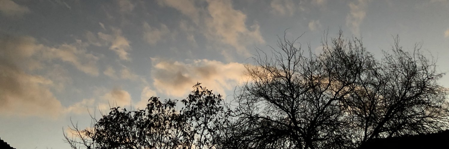 jerseyazul's profile banner image