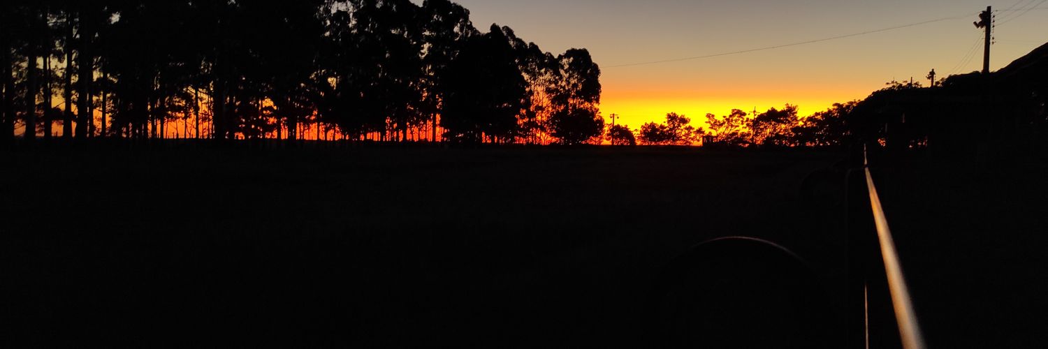 Dudweiser_'s profile banner image