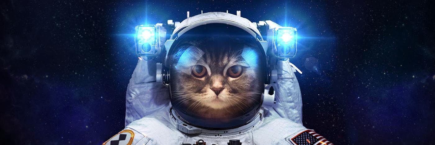 Inessapov's profile banner image