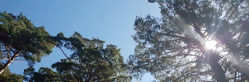 amamader's profile banner image