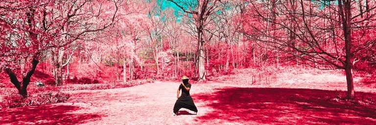 leroydbean's profile banner image