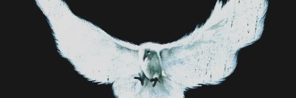casonwinchester's profile banner image