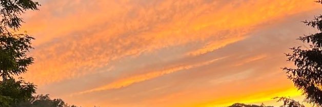 nikdurrr's profile banner image