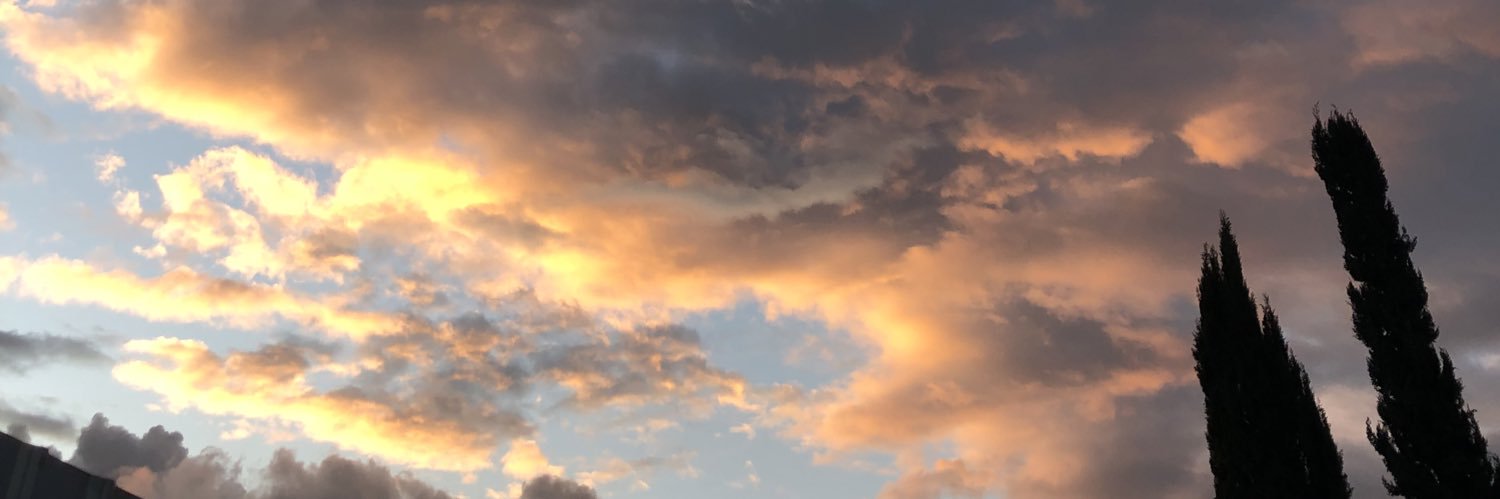 pauan0802's profile banner image