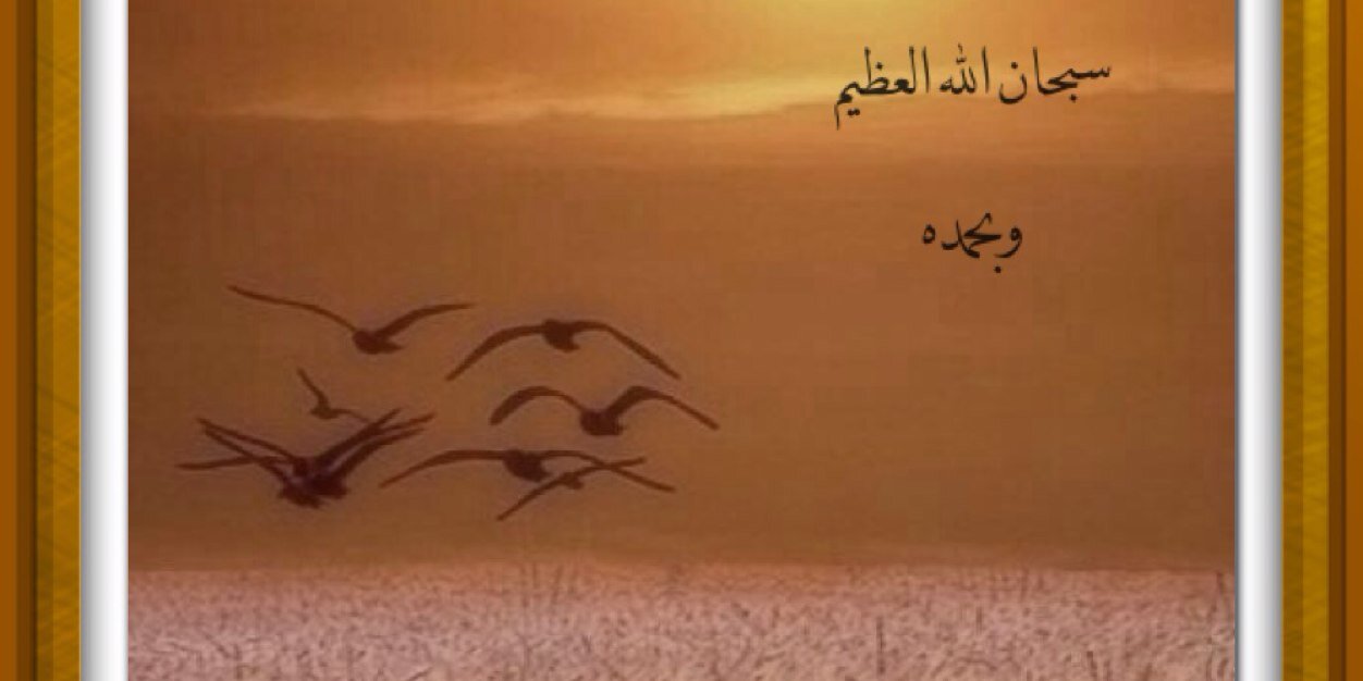 Q_S_2's profile banner image