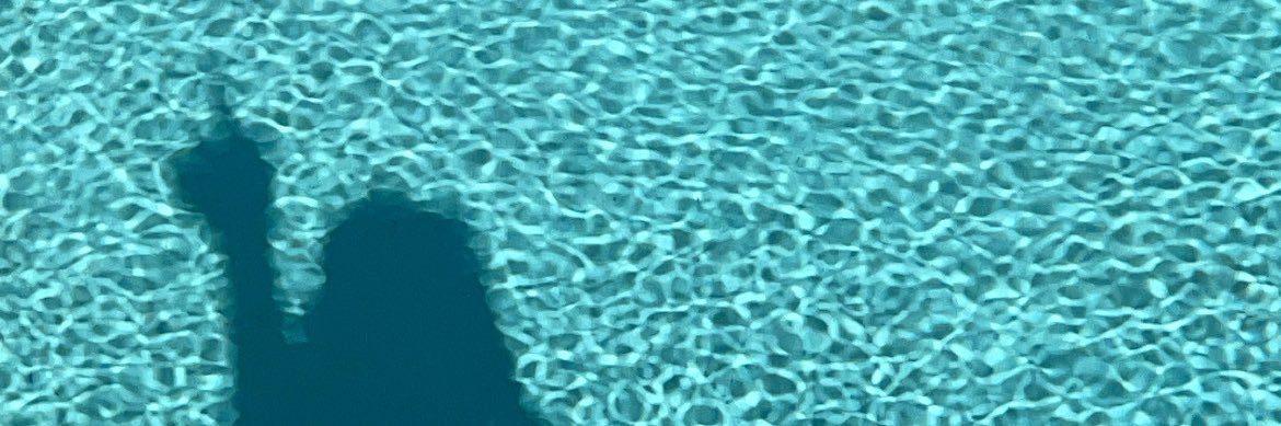 desisiegrest's profile banner image