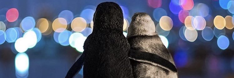 em_james99's profile banner image