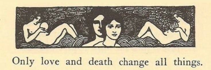 sinemsertcann's profile banner image