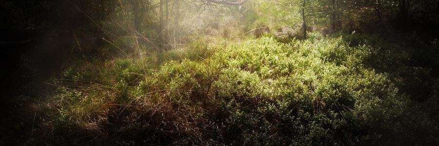 AbiGilmore's profile banner image
