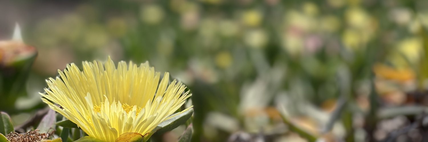 💕MrS.StEvEnS💕 banner