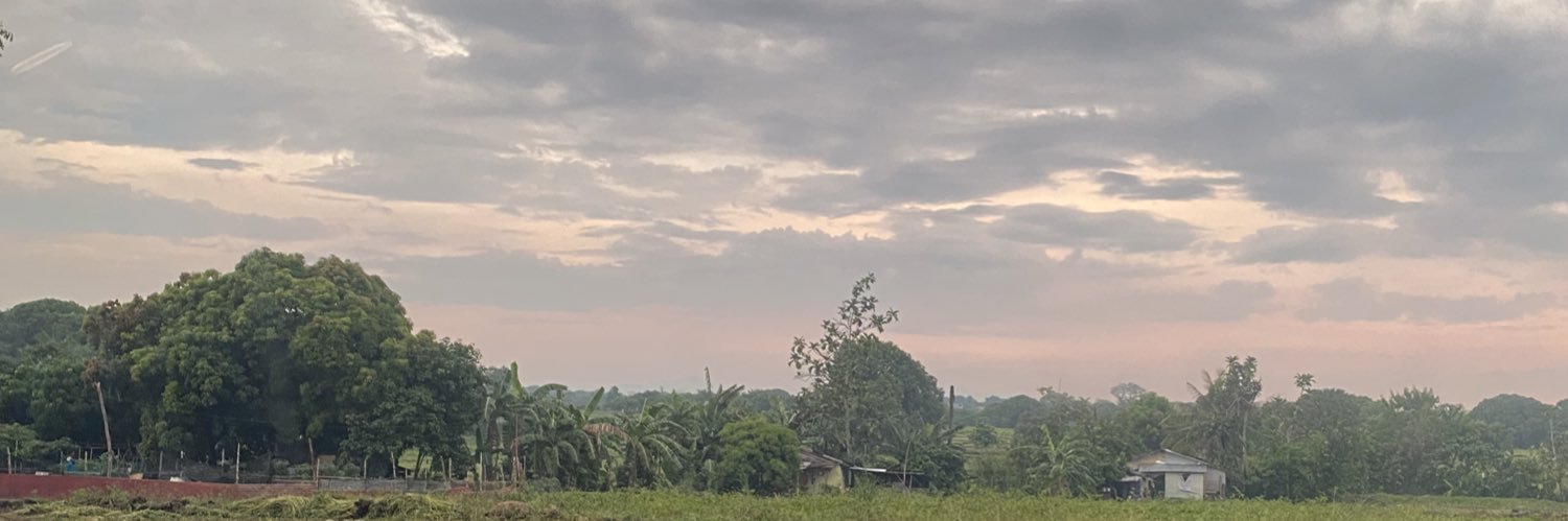 pleanmarie's profile banner image