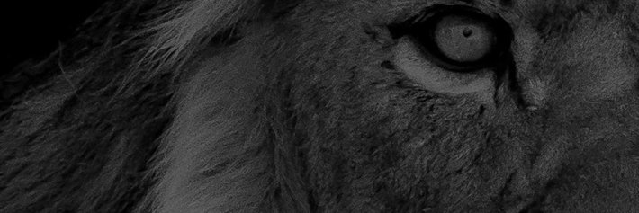 MatzSoderberg's profile banner image