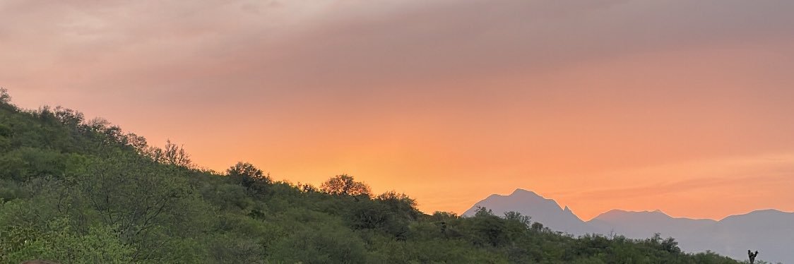 torremarcel's profile banner image