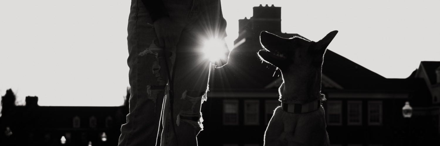 Kate Lowrey, PharmD, BCEMP banner