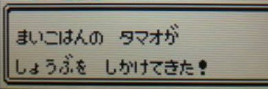 tamao:) banner