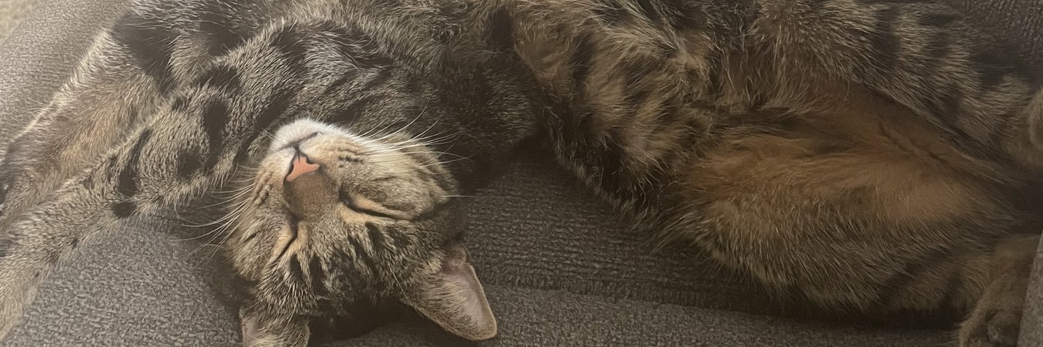 fabsammi's profile banner image