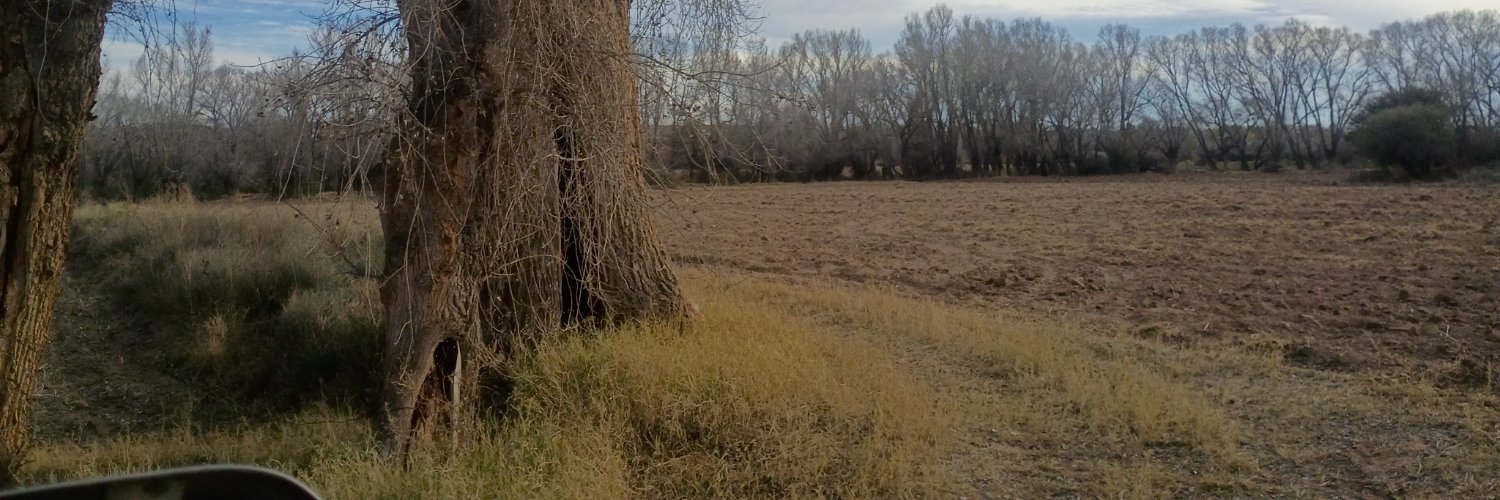 S_N_RIDER's profile banner image